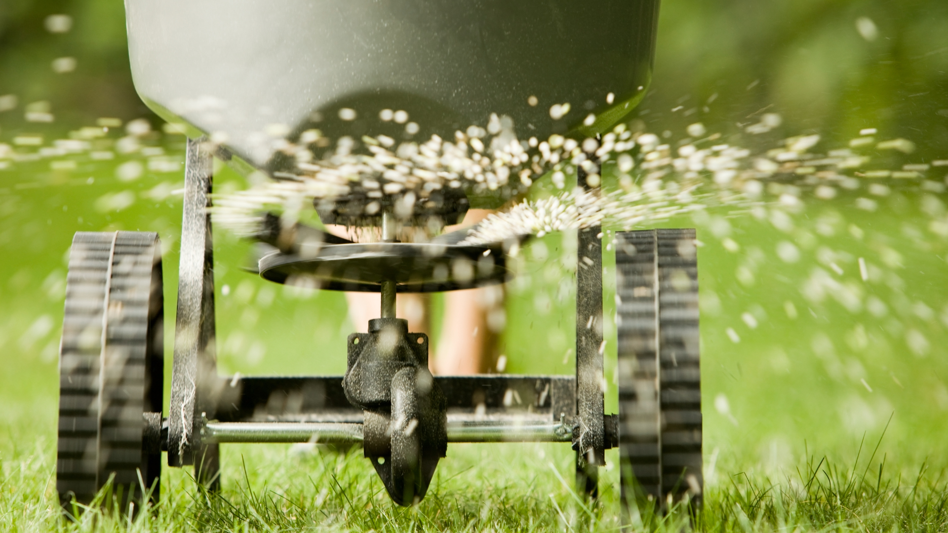a fertilizer spreader running through a yard