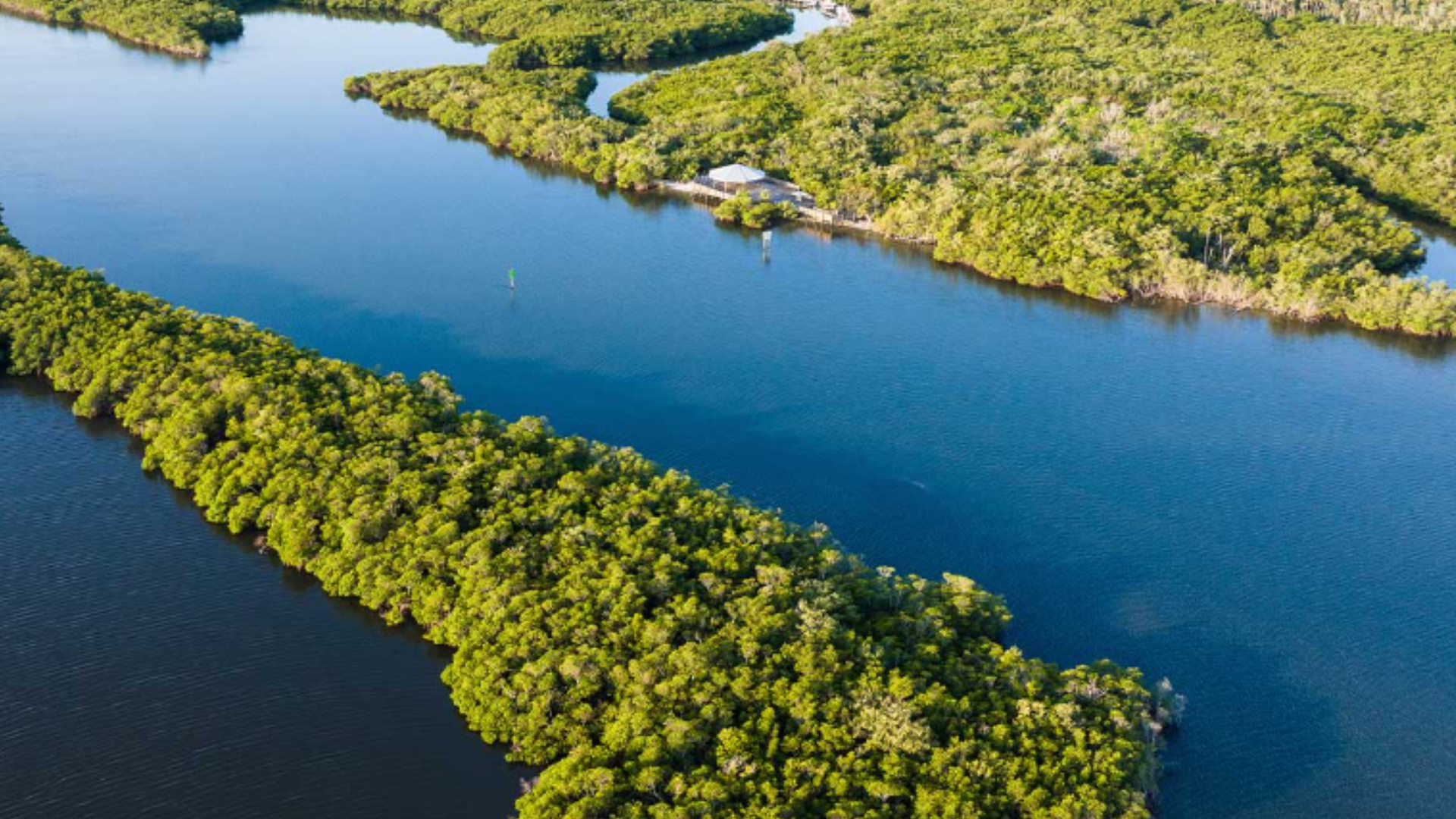 impact report (web CTA button 1920x1080)