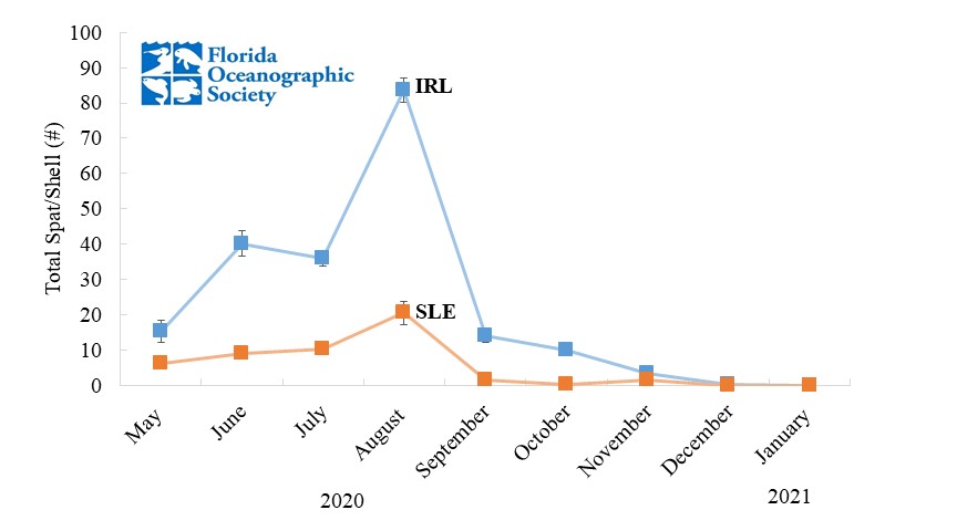 January%202021.jpg