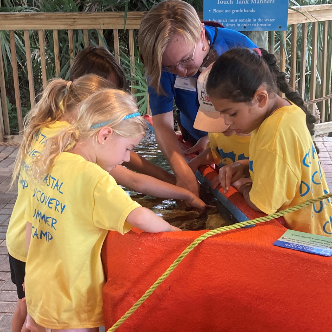 Florida Oceanographic Society | Junior Explorers Half Day Camp | Ages 5-6