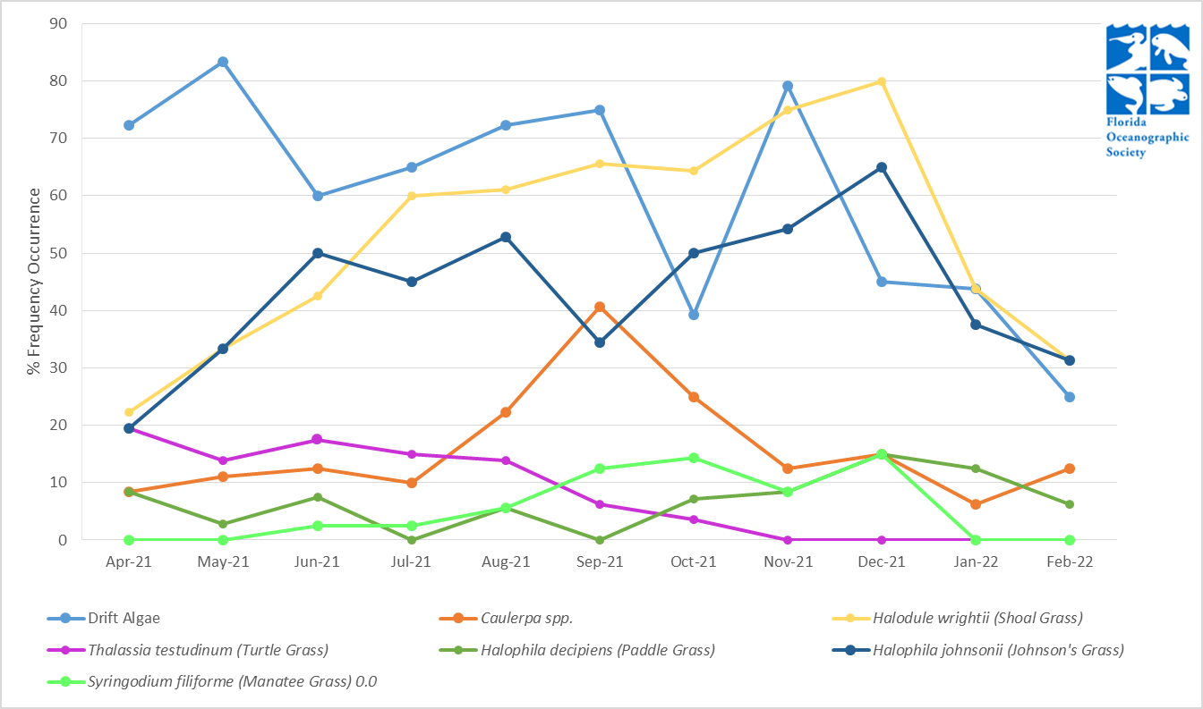 Graph of latest seagrass trends