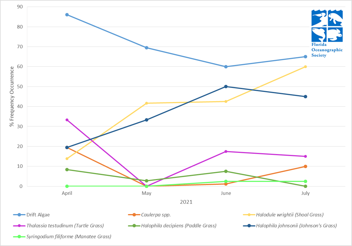 Latest%20Trends%20Website%20Graph.png