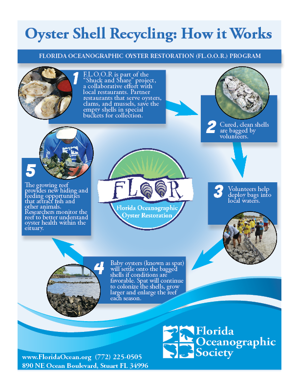 Oyster%20Restoration%20-%20How%20it%20works%20Infographic%20update%20may%202020.png