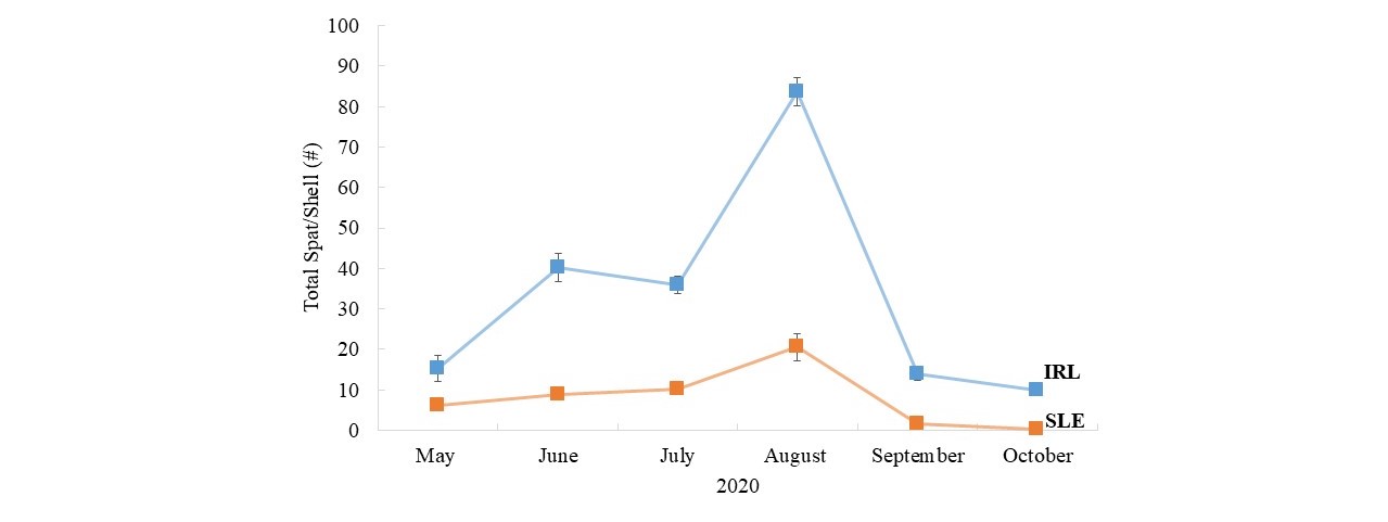Total%20Spat%20Graph_October%202020.jpg