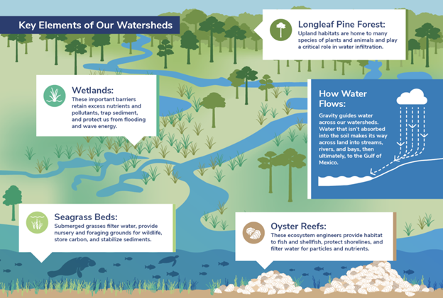 Watersheds%20Graphic.png