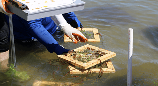 research local habitats