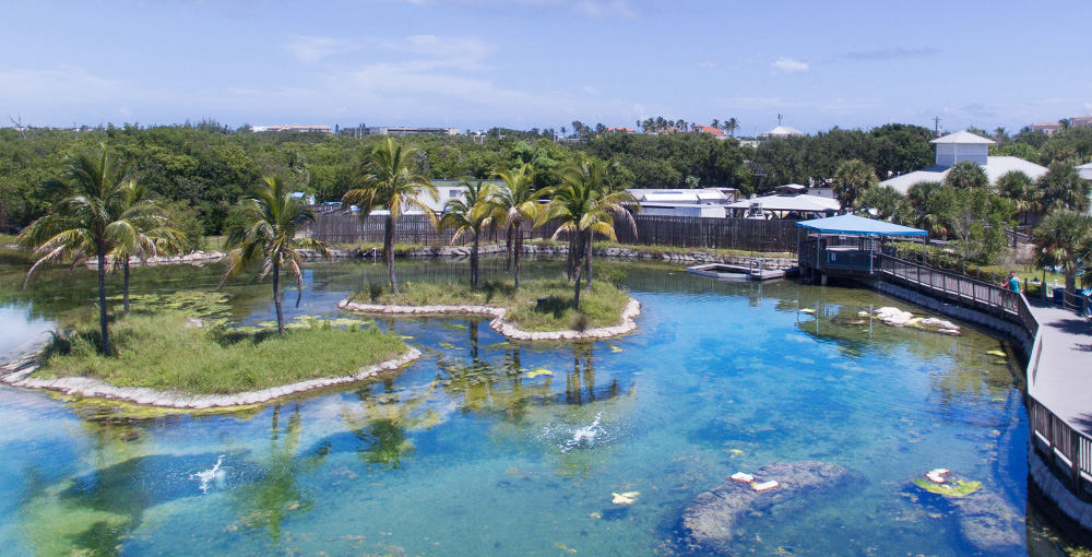 Coastal Center Gamefish Lagoon 