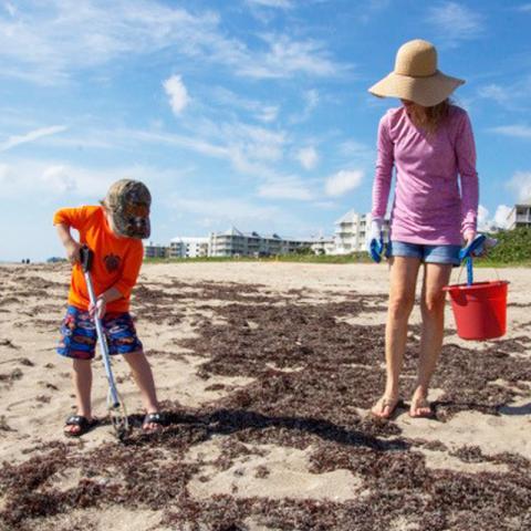 beach clean up 