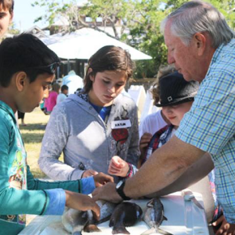 Children learning about fish
