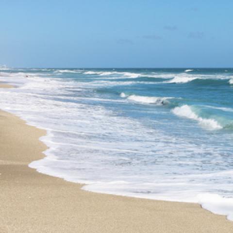 beach