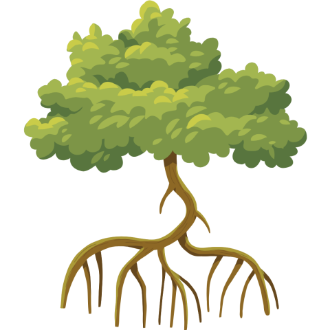 illustration of a mangrove