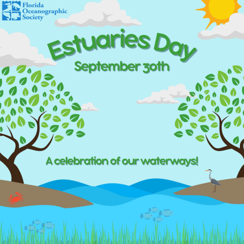 Estuaries Day Event