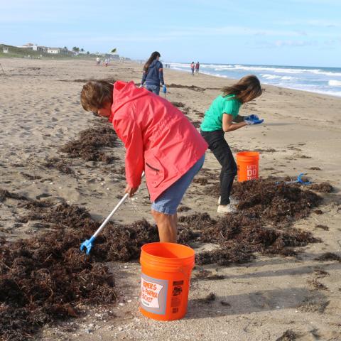 Beach Cleanup