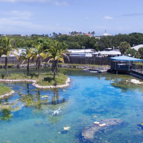 Gamefish Lagoon