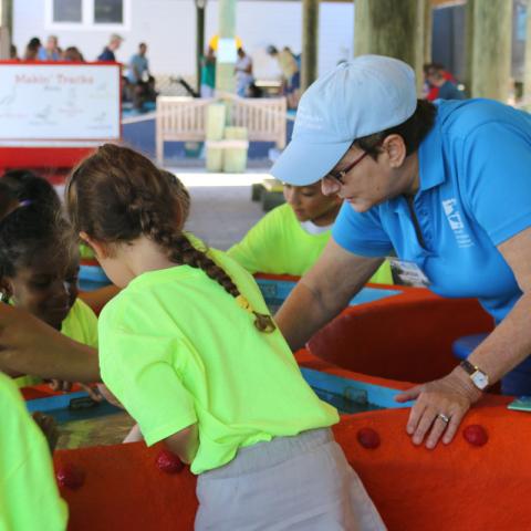Volunteer at the touch tank