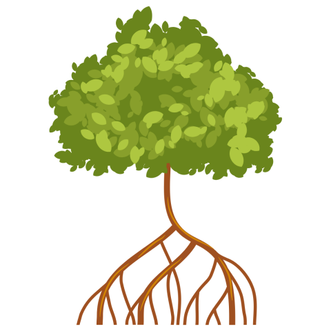 illustration of a red mangrove