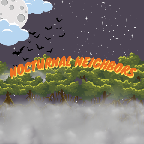 Spooky Moonlit night