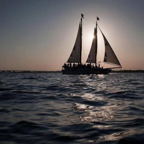 Schooner Lily