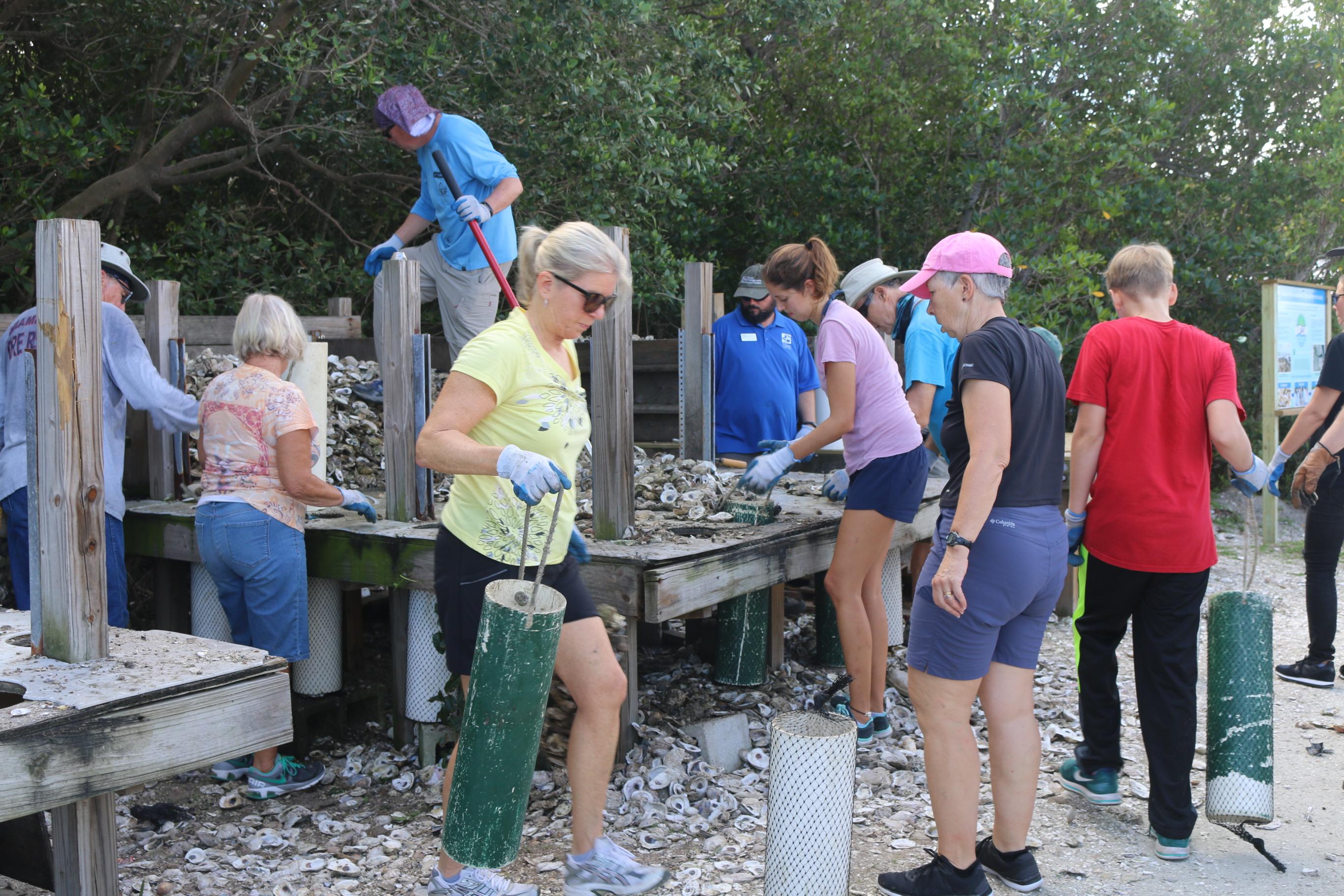 oyster shell volunteers 