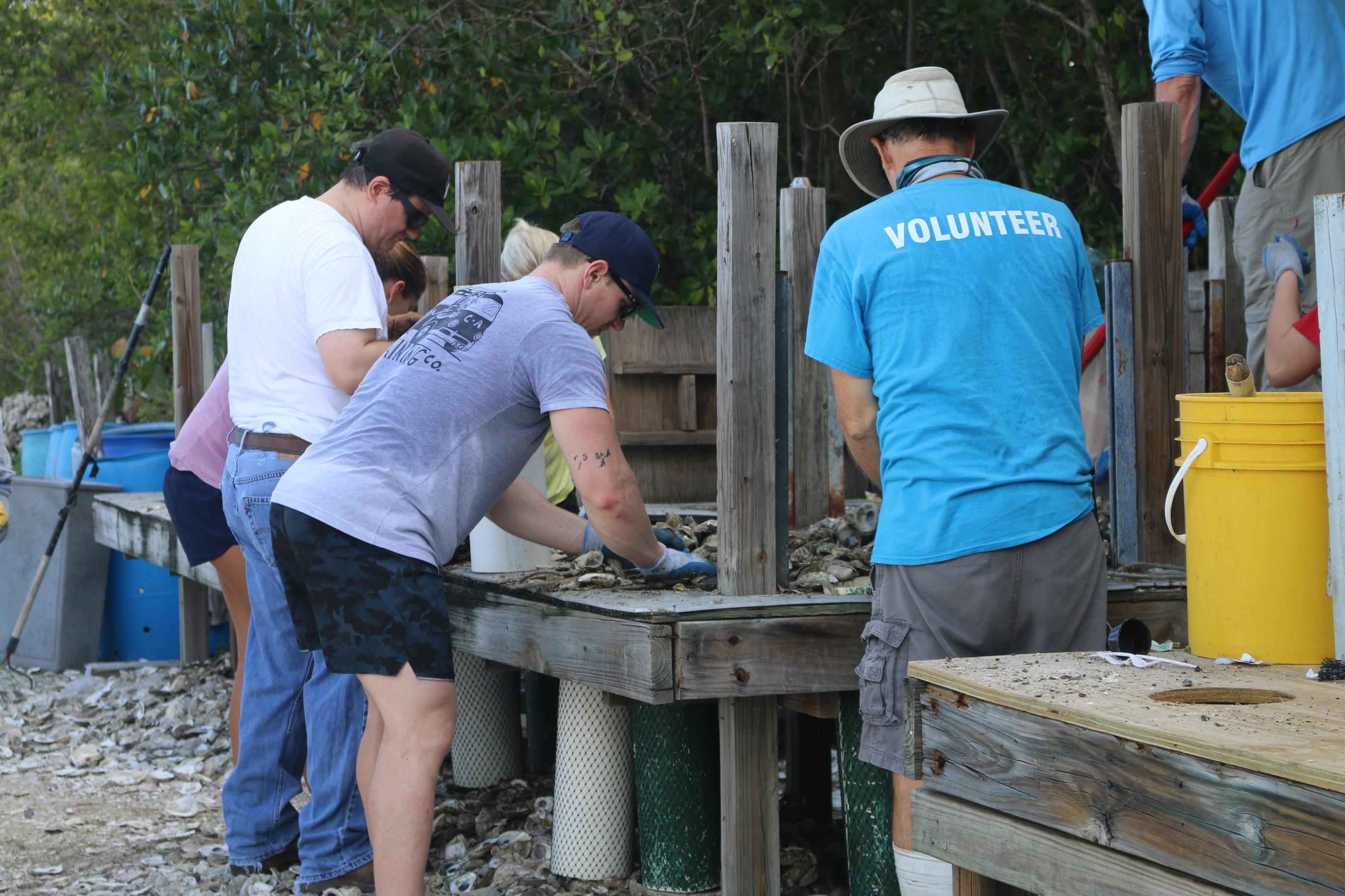 oyster shell volunteers 