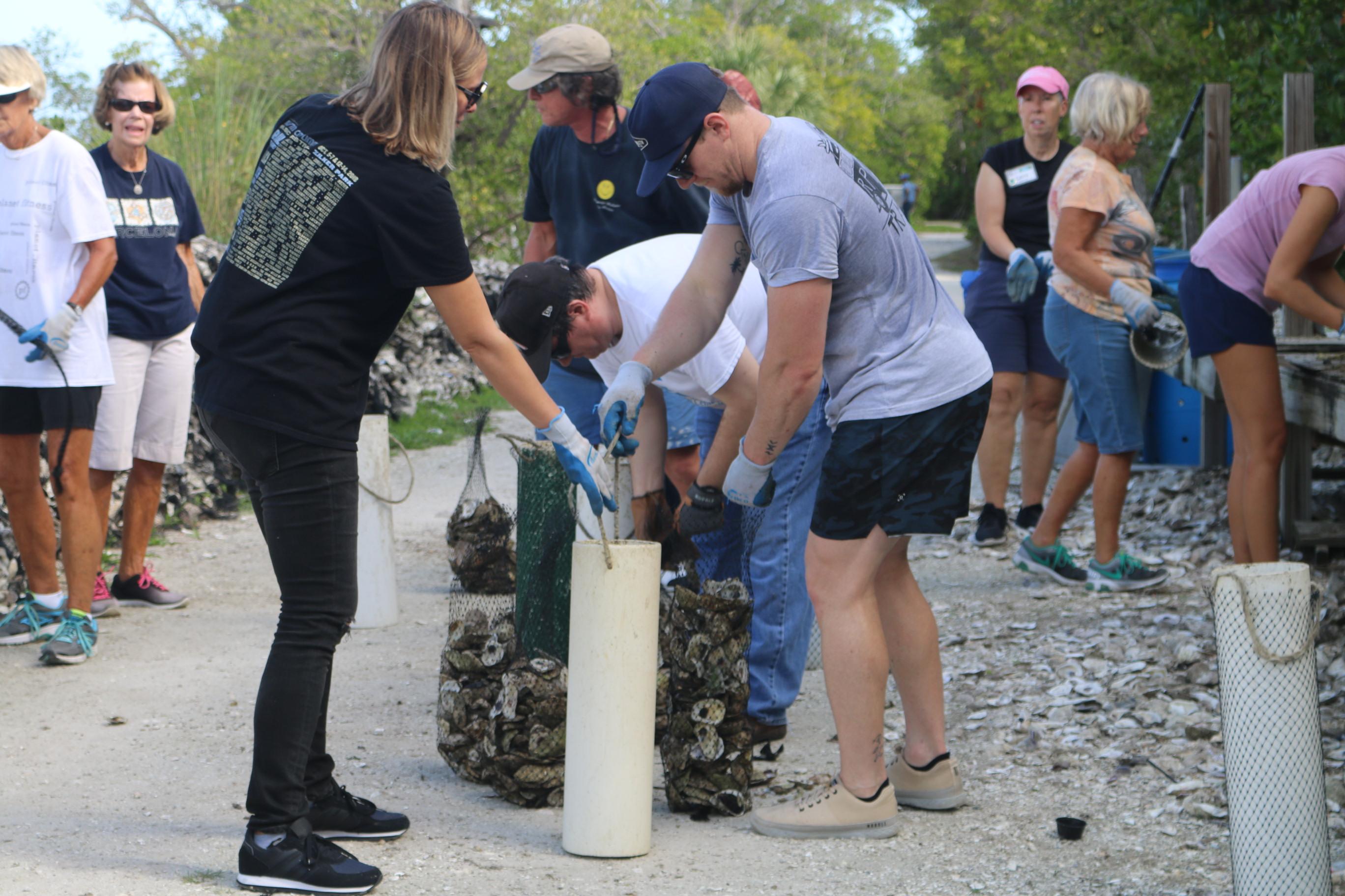 oyster shell volunteers 
