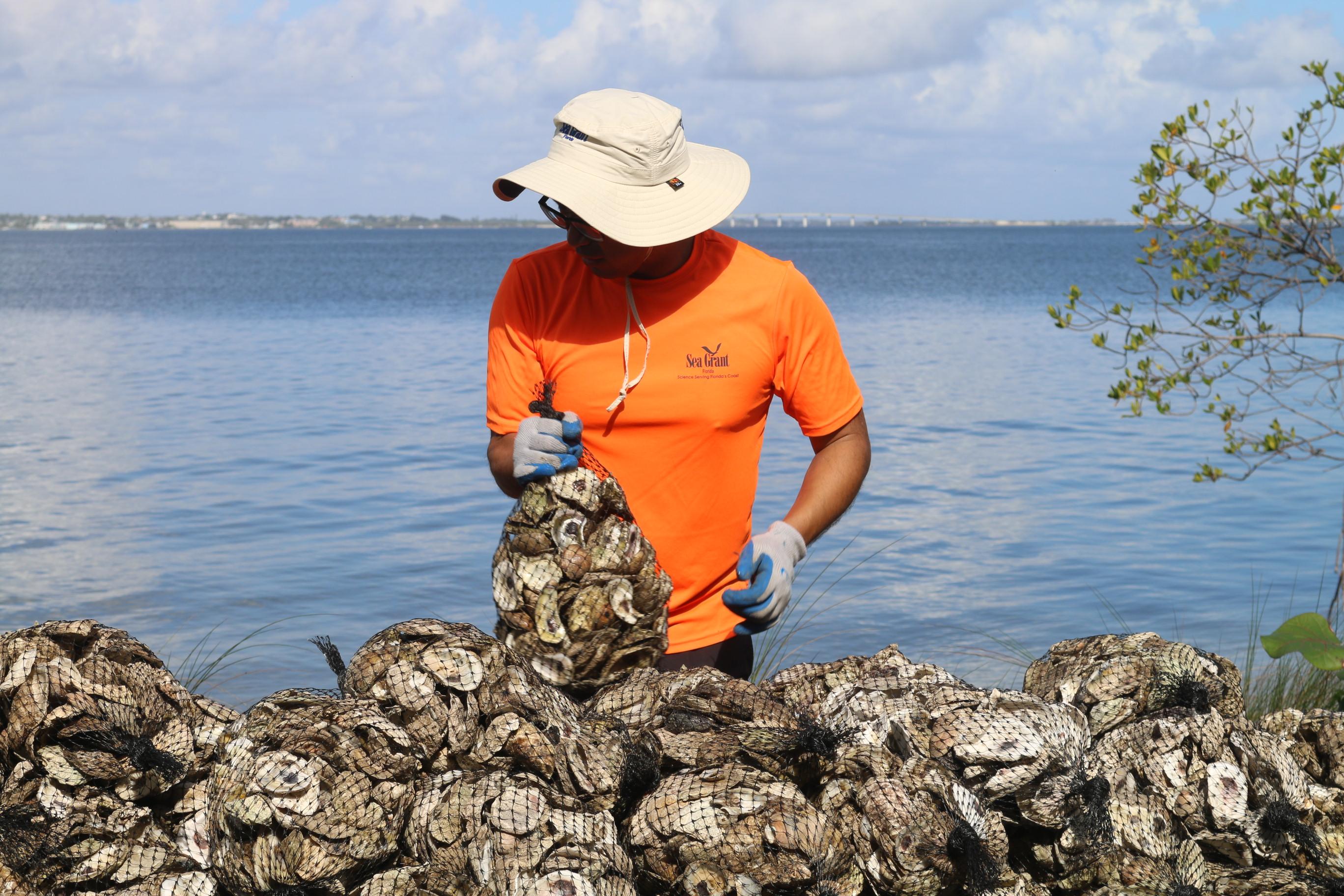 oyster shell volunteers 