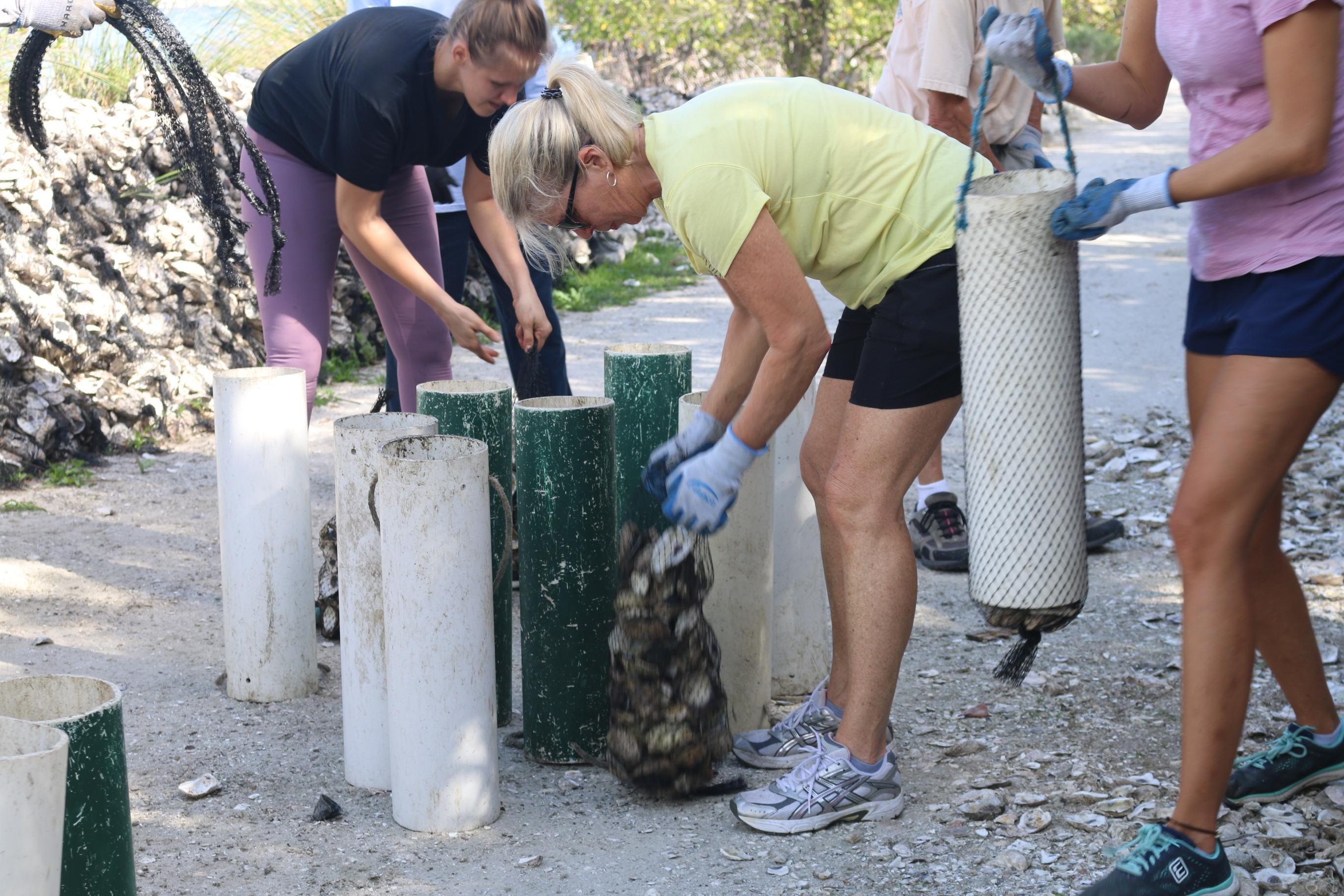 oyster shell volunteers 