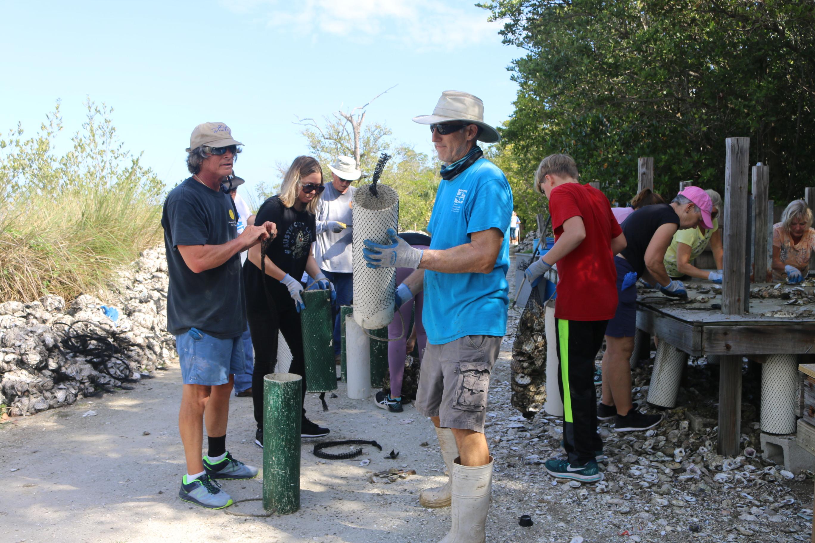 oyster shell volunteers 