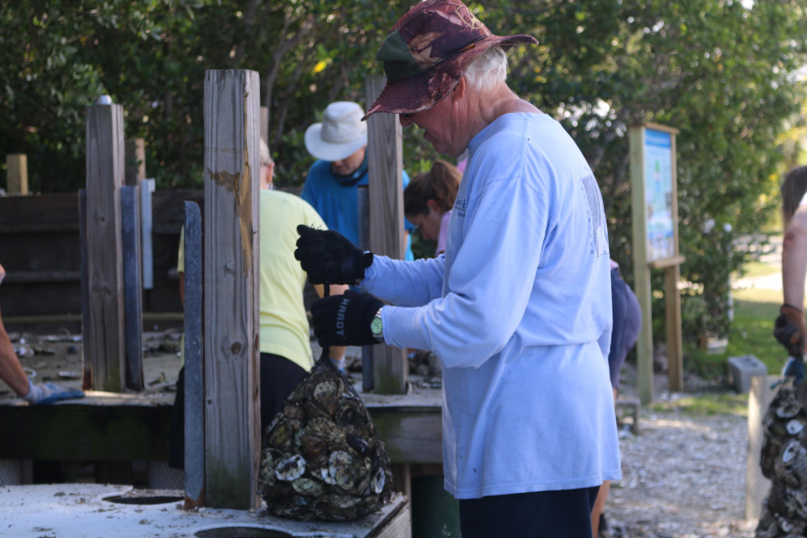 oyster shell volunteers 