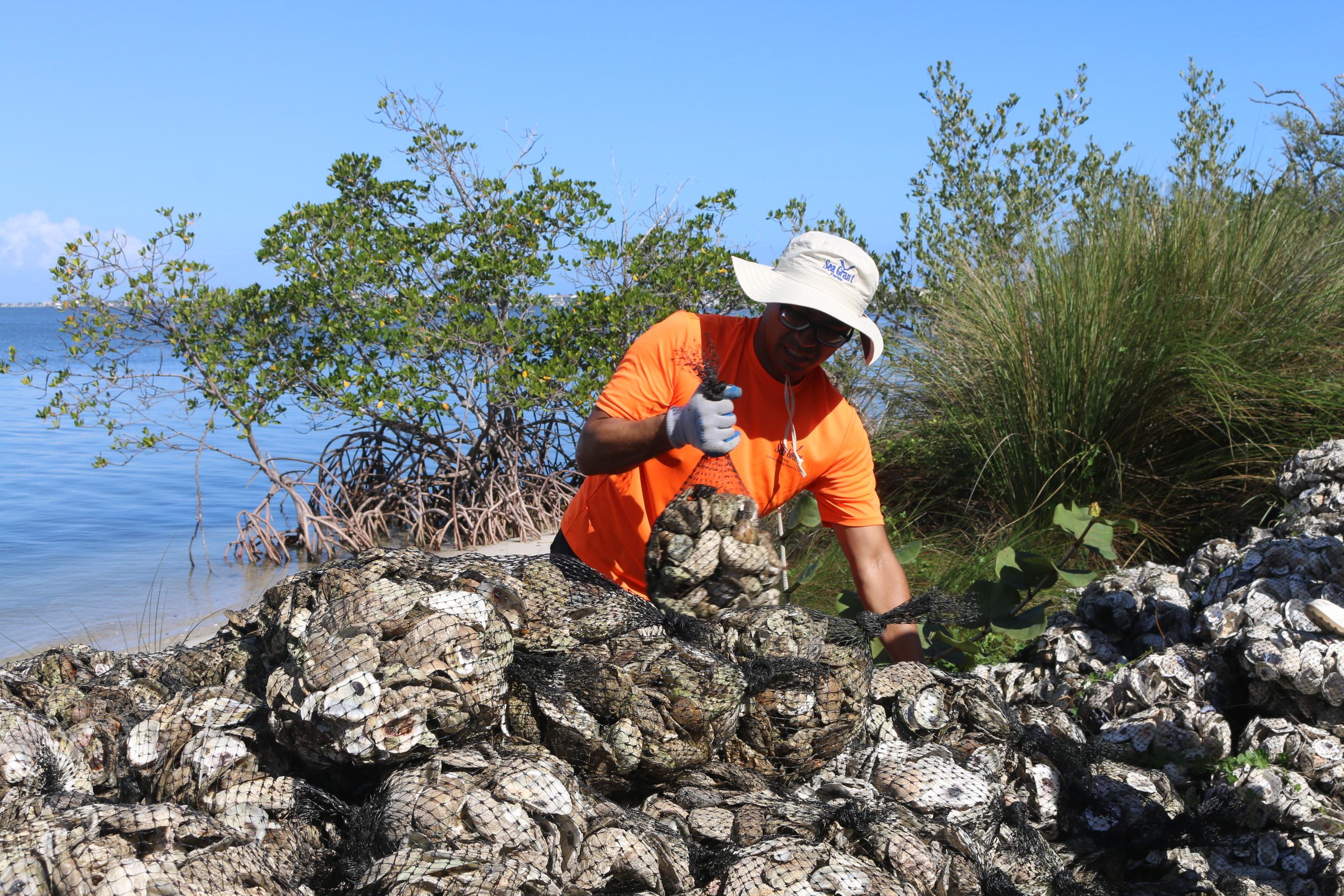 oyster shell volunteers 