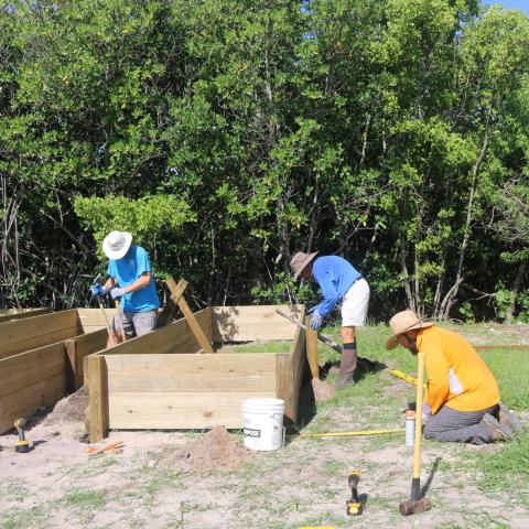 Mangrove nursery building 