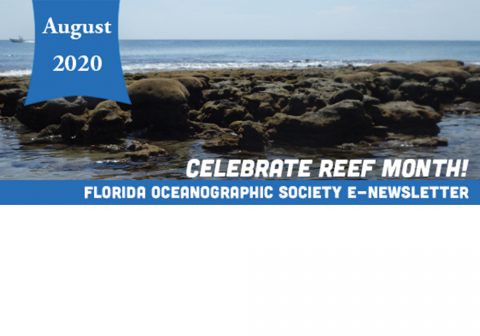 reefs month