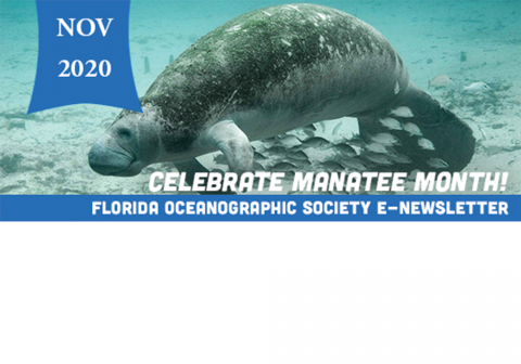 manatee month