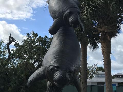 manatee statue