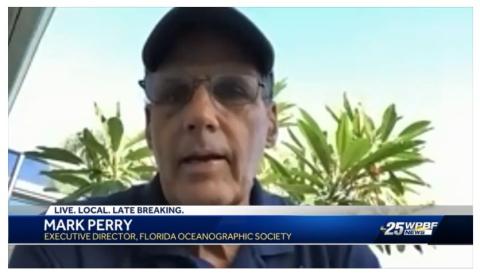 mark perry talking to wpbf