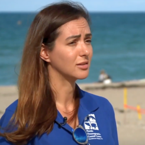 Environmental groups react to Florida ban on balloon releases