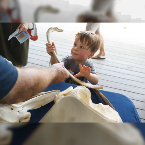 Estuaries Day kid with bone