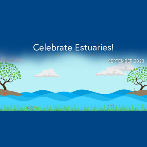 Estuaries Month 23