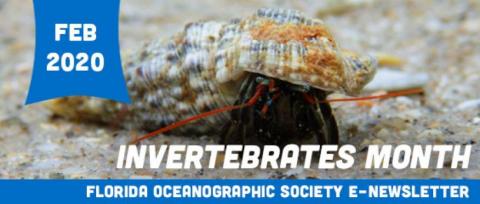 february 2020 invertebrates month
