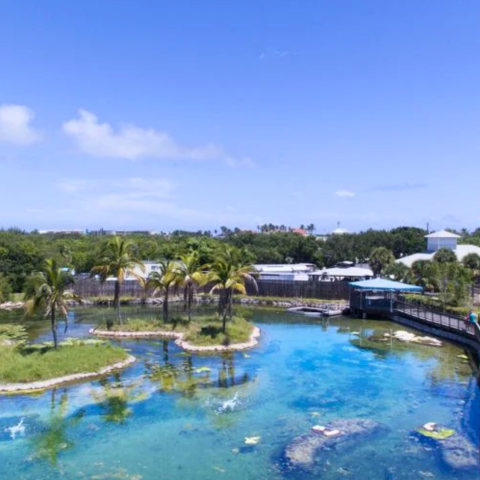 In Search Of A Laid-Back, Nature-Packed Florida Vacation
