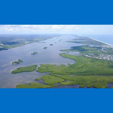 Ariel - Indian River Lagoon with blue background