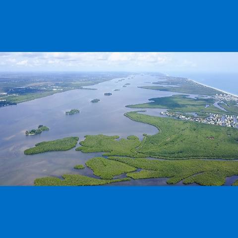 Ariel - Indian River Lagoon with blue background