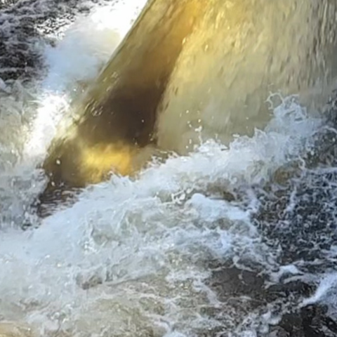 Lake Okeechobee discharges coming Saturday; Army Corps says lake too high