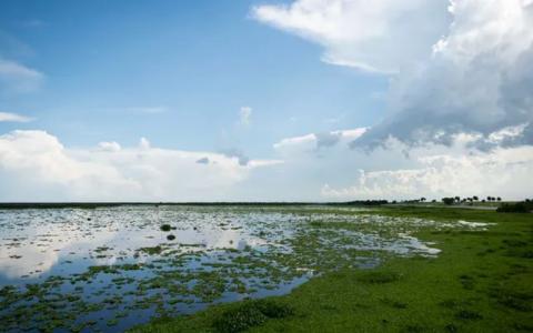 Lake Okeechobee