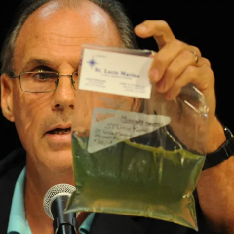 mark with algae 10 years lost summer