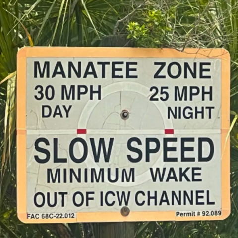 Manatee deaths decline for first time in five years, researchers skeptical that will last