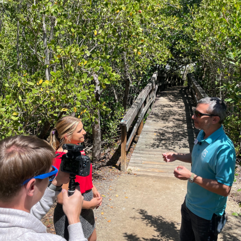 Marine biologist calls state's fine against Sandpiper Bay and Resort for mangrove cutting 'slap on the wrist'