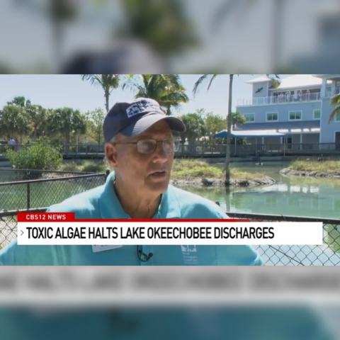 mark - discharges stopped after algae