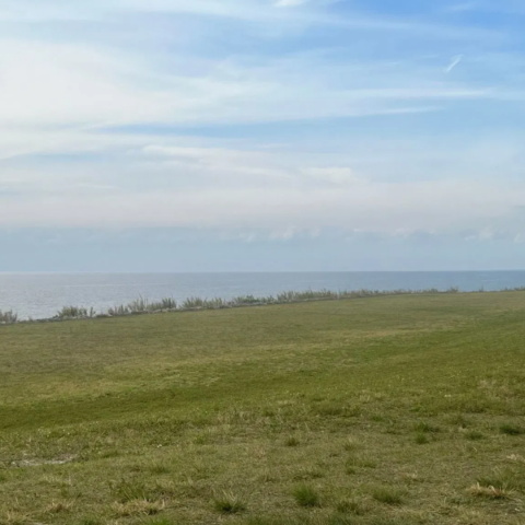 Massive Lake Okeechobee discharges to come this weekend, officials announce