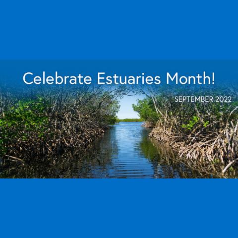 estuaries